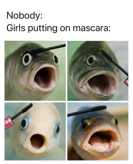 presnéééxDDD